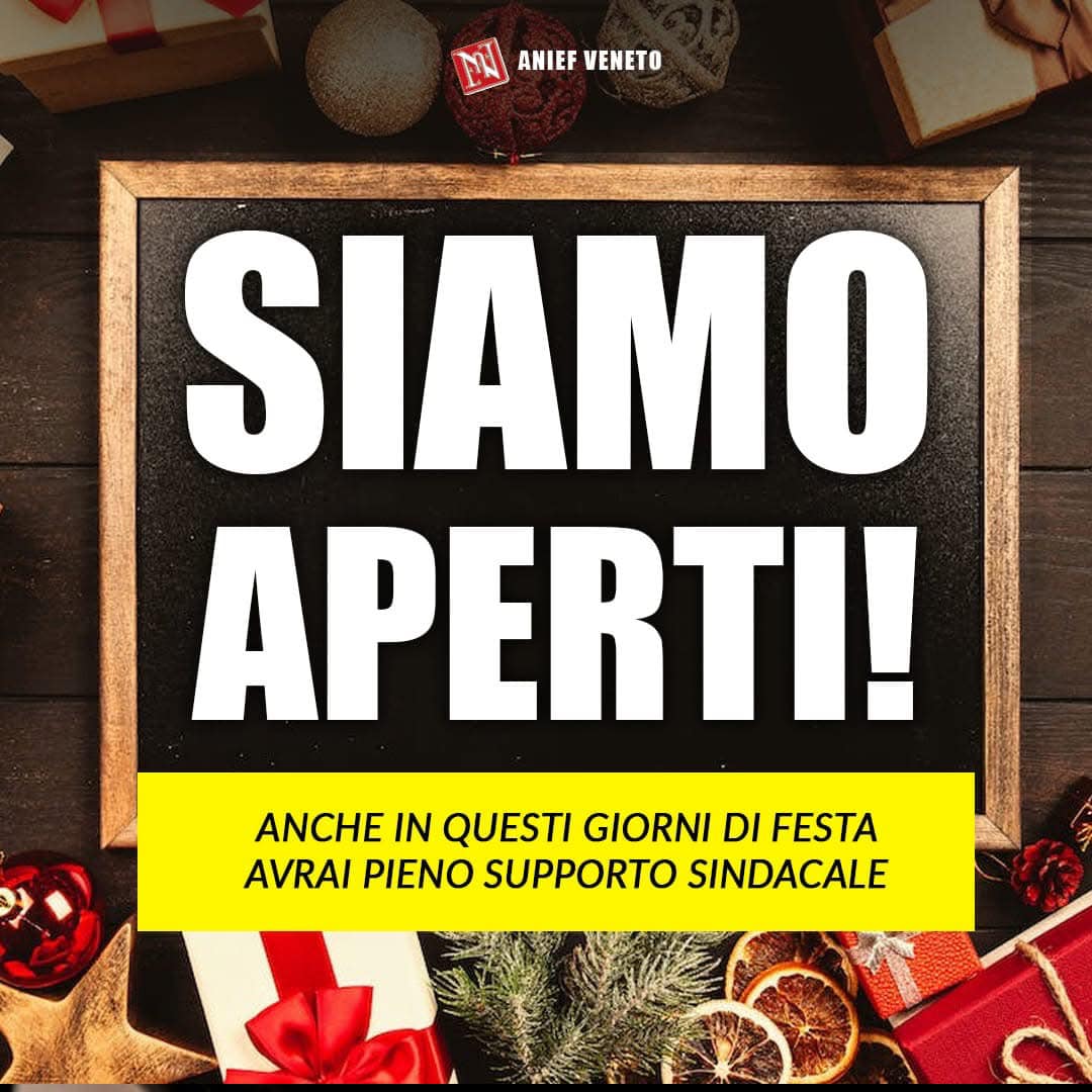 Buone Feste da ANIEF Veneto! 